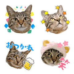 [LINE絵文字] ゆいちゃんの絵文字の画像