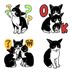 [LINE絵文字] 3匹のはちわれ猫【修正版】の画像