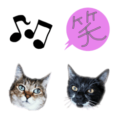 [LINE絵文字] My Glutton catsの画像