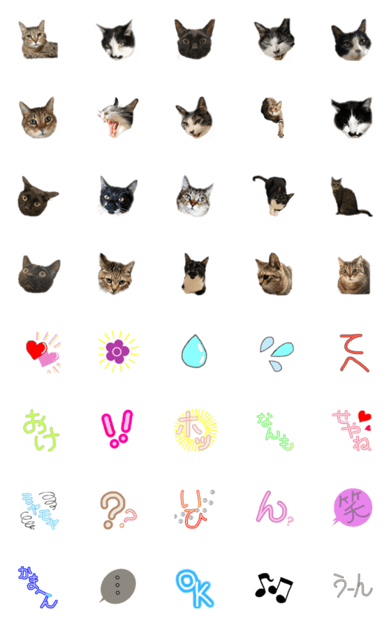 [LINE絵文字]My Glutton catsの画像一覧