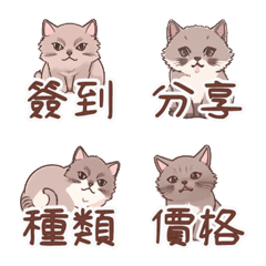 [LINE絵文字] かわいい小さな猫の効率ポストの画像