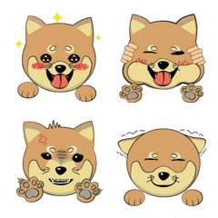 [LINE絵文字] About shiba dogの画像