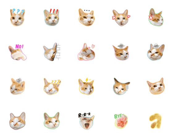 [LINE絵文字]Daily Emoticons of my pet cat Diao Zaiの画像一覧