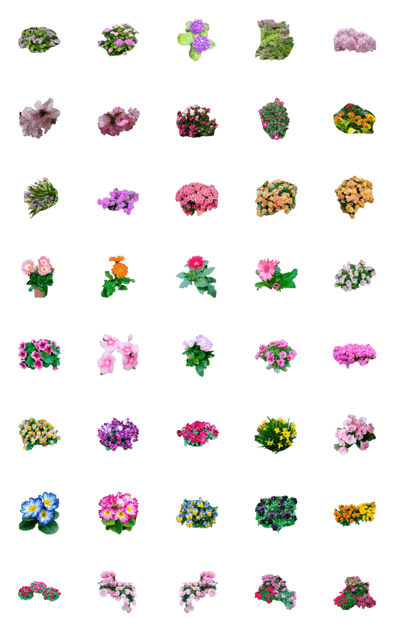 [LINE絵文字]seasonal flowerの画像一覧