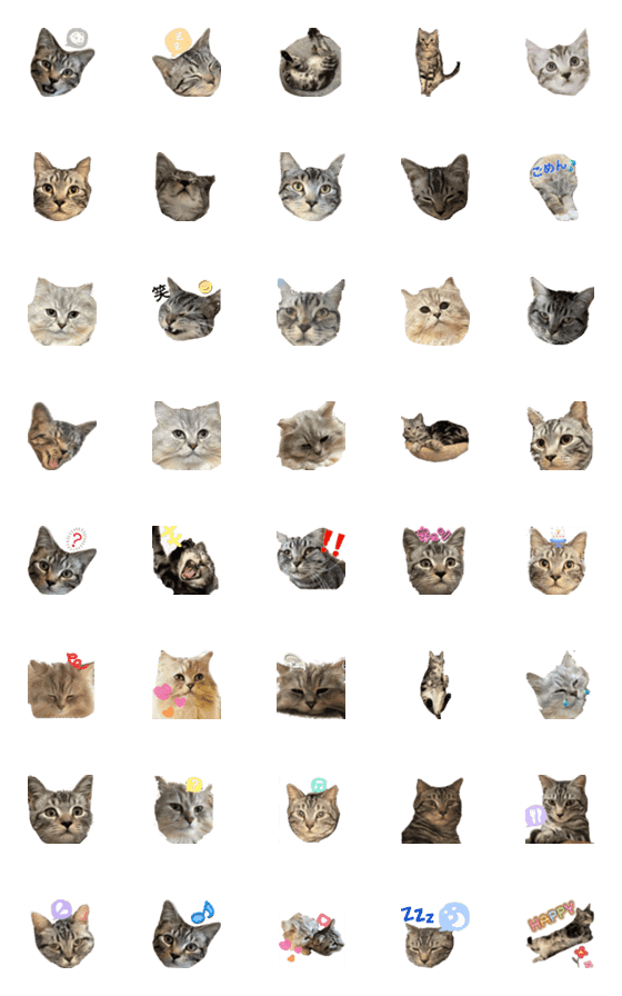 [LINE絵文字]Cat face photo stampの画像一覧