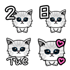 [LINE絵文字] 毎日使えるマンチカンスケジュール猫絵文字の画像