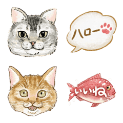 [LINE絵文字] 絵文字ねこ面相の画像