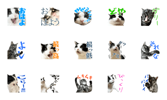 [LINE絵文字]猫の絵文字。みつお と ふう。2の画像一覧