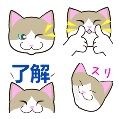 [LINE絵文字] うごく！ネコちゃん 絵文字の画像