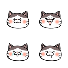 [LINE絵文字] 猫のぶーこちゃん絵文字の画像