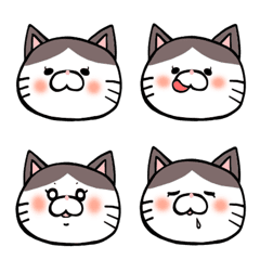 [LINE絵文字] 猫宮ぶーこちゃん絵文字の画像