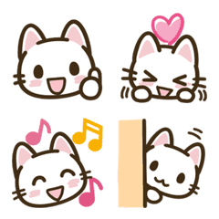 [LINE絵文字] まいにちねこる♪ねこるの絵文字の画像