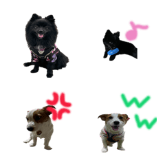 rinkuma1の絵文字メイン画像