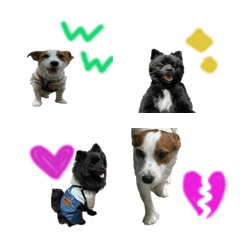 [LINE絵文字] 凜恷真の画像