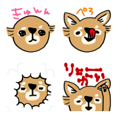 [LINE絵文字] チワワっぽいイヌーの画像