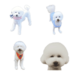 [LINE絵文字] Rikimaru emojiの画像