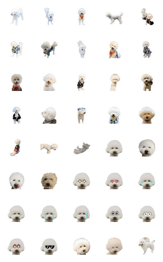[LINE絵文字]Rikimaru emojiの画像一覧