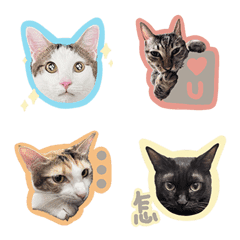 [LINE絵文字] vivians catsの画像