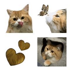 Home's animals 2の絵文字メイン画像