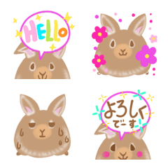 ネザーランドドワーフさんの絵文字メイン画像