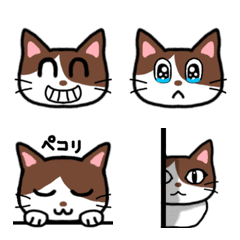 [LINE絵文字] はなちゃん 毎日 絵文字の画像