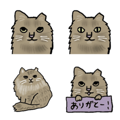 [LINE絵文字] MOFUMOFU CATの画像
