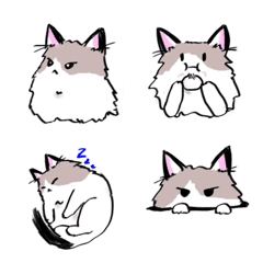 [LINE絵文字] ラグドールの猫 レオの画像