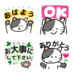 [LINE絵文字] 毎日にゃんこ① (修正版)の画像