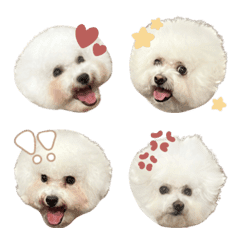 [LINE絵文字] ucinoko.emoji40の画像