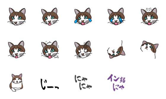 [LINE絵文字]かわいい猫ちゃん絵文字の画像一覧