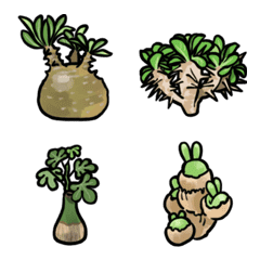 [LINE絵文字] 珍奇植物、塊根植物絵文字の画像