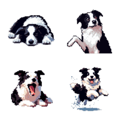 ドット絵 ボーダーコリー 40種の絵文字メイン画像