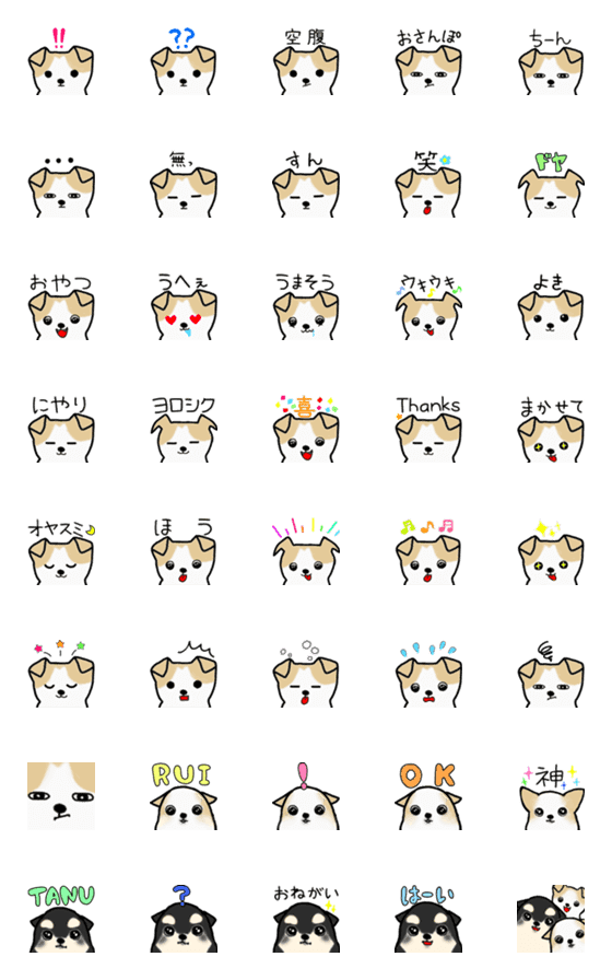 [LINE絵文字]タレ耳チワワのチャチャの画像一覧