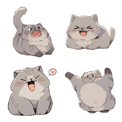[LINE絵文字] British Shorthair cat emojiの画像