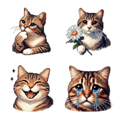 [LINE絵文字] ドット絵 茶トラ 猫 日常会話 40種の画像
