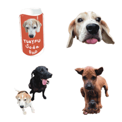 [LINE絵文字] tuayfu soda popの画像