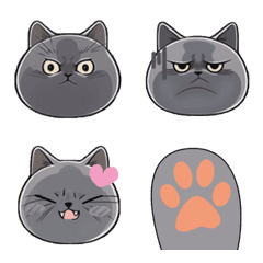 [LINE絵文字] British shorthairの画像