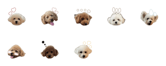 [LINE絵文字]coco.mou.の画像一覧