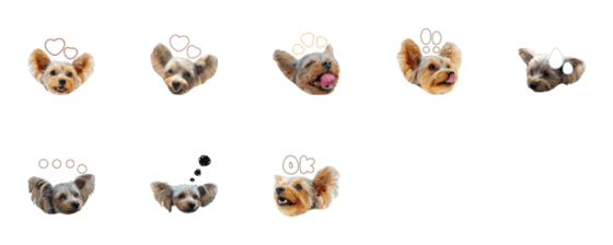 [LINE絵文字]lily.emojiの画像一覧