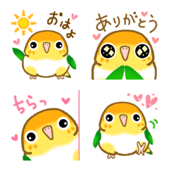 [LINE絵文字] 動く♡シロハラインコ（ノーマルちゃん）の画像