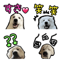 [LINE絵文字] グレートピレニーズ まめちゃん 絵文字の画像