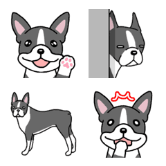 [LINE絵文字] 犬種別ボストンテリア絵文字の画像