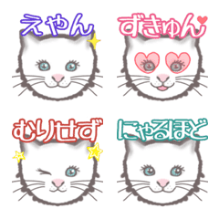 [LINE絵文字] 子猫のビアンカ♡ひとこと絵文字②の画像