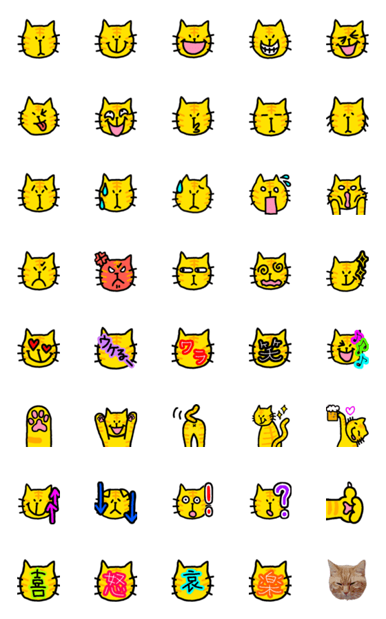 [LINE絵文字]ウチの茶トラ猫の画像一覧