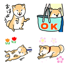 [LINE絵文字] のんびり柴犬の画像