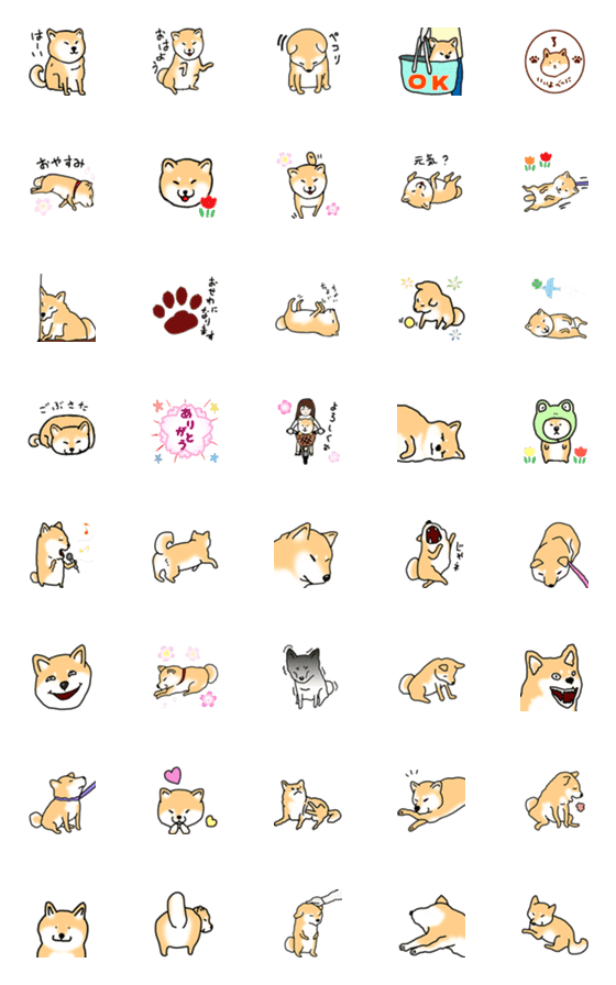 [LINE絵文字]のんびり柴犬の画像一覧