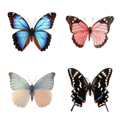[LINE絵文字] 蝶の画像