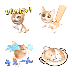 [LINE絵文字] 超リアル☆ねこさんの画像