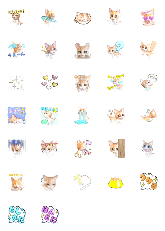 [LINE絵文字]超リアル☆ねこさんの画像一覧
