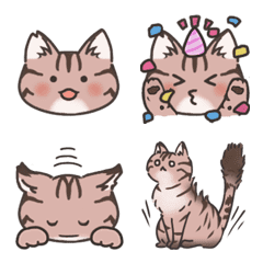 [LINE絵文字] 表情豊かなキジトラ猫ちゃんの画像